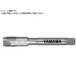 } |Cg^bv PO P3 M11X0.75 PO-P3-M11X0.75