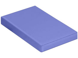 ���c�x�b�h �G�b�N�X�s���[(�l�p)�l�p �|�W�V���j���O�u���b�N(X���B�e�p)24-3358-0106 �r�j�����U�[���C�g�u���[ ���c�x�b�h���쏊 TB-77C-183