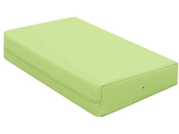 ���c�x�b�h �J���[�}�b�T�[�W�}�N�� ���C���O���[�� TB-77C-05