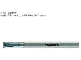 } Z-PRO v~AXbh~ PRML 9.0P1.25 PRML-9.0P1.25