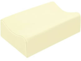 ���c�x�b�h �̌��p��(�㎈�p)�㎈�p �r�� 24-2267-0013 �r�j�����U�[�N���[�� ���c�x�b�h���쏊 TB-633