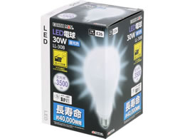 TAKAGI EARTH MAN LED�d�� 30W LL-30B