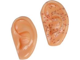 Erler-Zimmer �ڃ��f�� ���ڗp 8-635-01