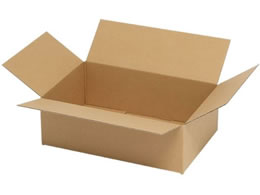 �w�C�R�[ �i�{�[�� A5�p-80 �X���� ���n 20�� 2123202