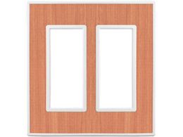 SUGATSUNE 210032222 PXP-FW02-WR�X�C�b�`�v���[�g�E�R���Z���g�v���[�g 2�A PXP-FW02-WR