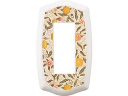 SUGATSUNE 210027213 PXP-HS01-FR�X�C�b�`�v���[�g�E�R���Z���g�v���[�g PXP-HS01-FR