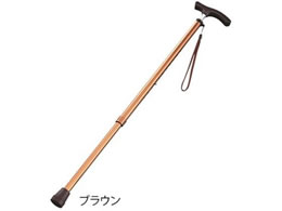 �L�k��(�X�����l�b�N�^�C�v)�u���E��(�j���p) 8-6960-01