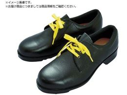 ~hS ÓdSC V251NÓd 25.0CM V251NS-25.0