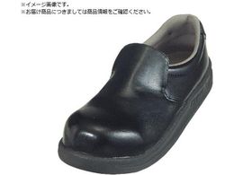 i ϊc~[V[Y V5100  25.0cm