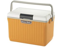 SANKA xAXN[[ 17L zCg CG[ VAC-17WH YE