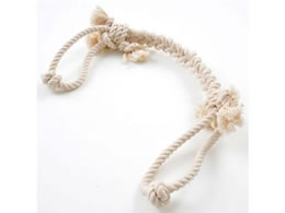 yeBI i`Rbg[v S A23650