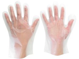 ~hS |G`fBX| MTCY 100