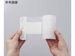 �j�g���Y �D���p�[�~�p�b�h(�p�b�h�t�t�B�����h���b�V���O)100�~250mm 1��(20����) 8-8465-06