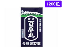 )쌧 xS 1200