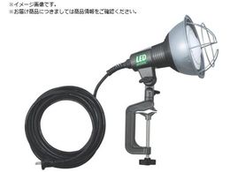 n^ LEDƓ 20WLp^CvLEDvt d5Mt RGL-5W