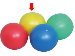 �[�b�g �\�t�e�B26 �C�G���[ ZS3326-5300