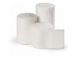 ���{�q�� ���t��� 6�� NE-366(60�J���C��)