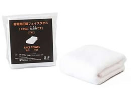 �����D�� ���p���k�t�F�C�X�^�I�� �z���C�g SK-FT1