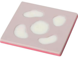 ��ጃV�~�����[�^�p�A���T�[�m�� �g���[�j���O���f�� 25-5539-01 ���{���C�g�T�[�r�X NBJ-002(2�}�C)