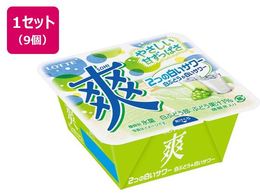 ���b�e �u 2�̔����T���[185mL�~9��