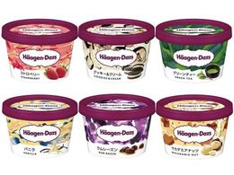 �n�[�Q���_�b�c �~�j�J�b�v �o���G�e�B�l�C 6��ދl�ߍ��킹�y�o�j�� �}�J�_�~�A�i�b�c �O���[���e�B �X�g���x���[ �������[�Y�� �N�b�L�[&�N���[���z