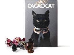 DADACA CACAOCAT~bNXCAT9