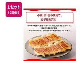 ̑f ĕłM[U 12~20