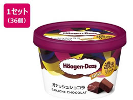 �n�[�Q���_�b�c �~�j�J�b�v �K�i�b�V���V���R�� 110ml�~36��