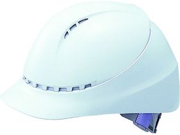 TRUSCO �w�����b�g ���ʋC���^ �z���C�g DPM-1820W