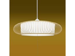 ^LY~ LEDy_gCg IWi TRV85045