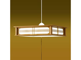 ^LY~ LEDy_gCg IWi TRVR85046