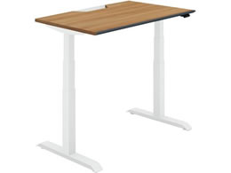 �R�N�� �V�[�N�G���X �����\�t�g F���o�[W1200 ���X�e�B�b�N�~�f�B�A�� W