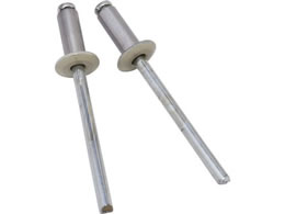 �V�����@ �J���[�u���C���h���x�b�g (5-4) 20�{�� SK-537BG