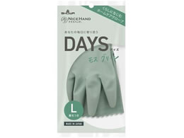 V[O[u iCXnh DAYS L XO[