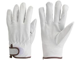 TRUSCO/�}�W�b�N����ܓؖ{�v��