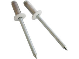 �V�����@ �J���[�u���C���h���x�b�g (6-5) 20�{�� SK-649WH