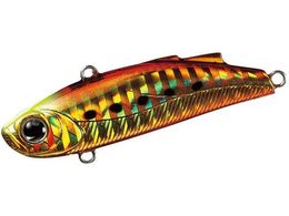 �_�C�� �~�j�G���g57S �o�[�j���O�S�[���h�C���V