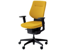 RN CO NbVw IL WLX^[ CRG3213E6G41SWN