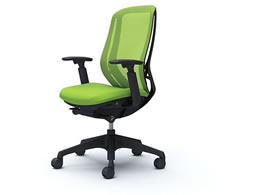 �I�J���� �V���t�B�[ ���I �n�C�o�b�N ���C���O���[�� C685XR FMP5