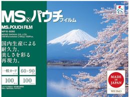 MS pE`tB MP10-6090 (100) MP10-6090