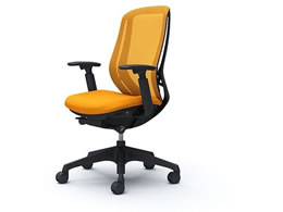 �I�J���� �V���t�B�[ ���I �n�C�o�b�N �I�����W C685XR FMR8