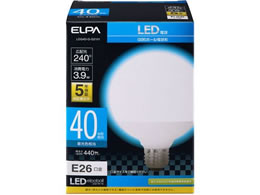 d G95{[` 40W E26F LDG4D-G-G2101