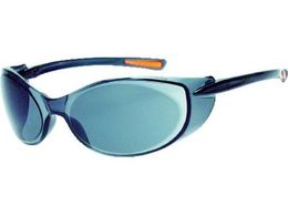 TRUSCO/���^�Z�[�t�e�B�O���X �S�[�O���^�C�v �����Y