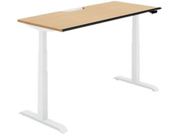 �R�N�� �V�[�N�G���X �����\�t�g F���o�[W1600 �i�`�������I�[�N W