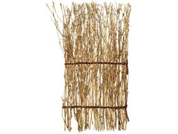 �ݗm �������� 16�~30cm 21909 5739181