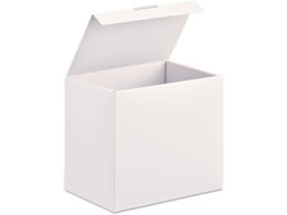 vX ito^oshi gPPBOX CDTCY ItzCg