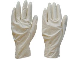 _bv/EX100 VRSɂ i` 