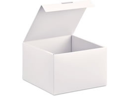 vX ito^oshi gPPBOX VTCY ItzCg