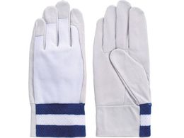 �x�m�O���[�u �ؖ{�v��� F-807 ��L 5807