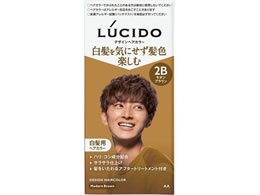 }_ V[h fUCwAJ[ _uE 2B